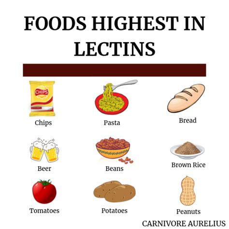 10 Dangers of Eating Lectins (+How to Avoid Them) | Lectin free diet ...