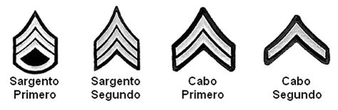 Cómo Reconocer Los Rangos Militares 5 Pasos Trabajo