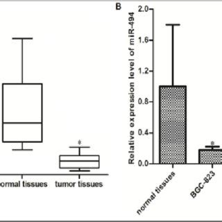 Downregulation Of MiR 494 In Gastric Cancer A Expression Of MiR 494