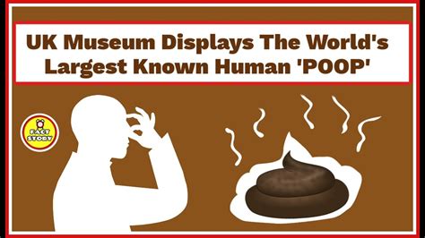 The Largest Human Poop Ever Uk Museum Displays The Worlds Largest