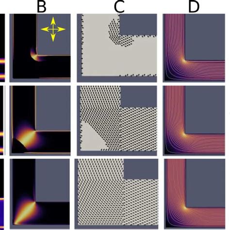 Director Alignment In A Flow Through The L Channel A Intensity Image