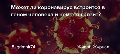 Может ли коронавирус встроится в геном человека и чем это грозит