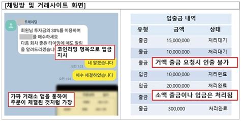 가짜 거래소 활기가상자산 투자사기 성행 주의보 소비자보호