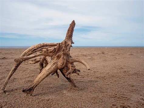 Formby Beach England Photo Spot PIXEO