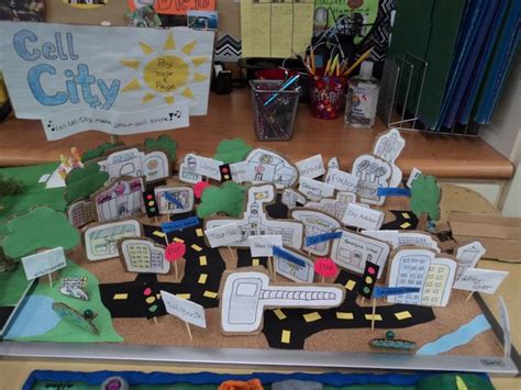 Plant Cell City Project