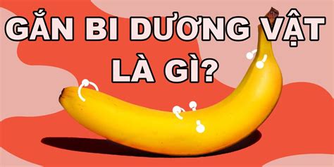 Gắn bi dương vật cho nam là gì Nguy hiểm như thế nào Giá Tin Hay Vip