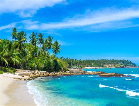 Best Luxury Tour Packages Of Sri Lanka Cheap Tickets For Sri Lanka