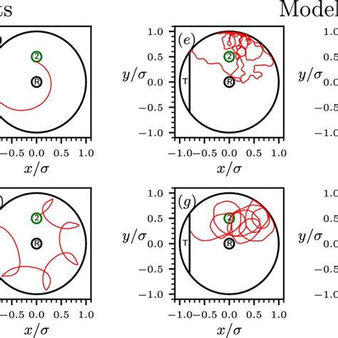 Ad Typical Experimental Trajectories Of A Self Propelled Camphor