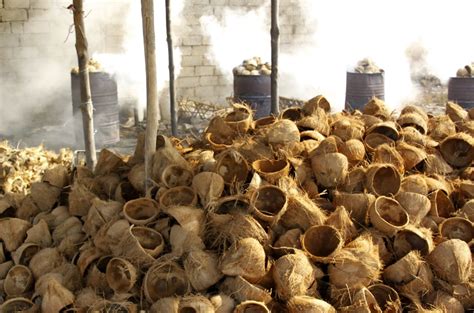 Membuat Briket Arang Tempurung Kelapa Manfaatnya Luar Biasa