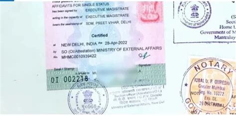 How To Get Single Status Certificate Apostille In Airoli Single Status Agent In Airoli At Rs