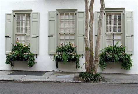 Window Boxes with Pale Green Shutters, Tradd Street, Charleston, SC ...