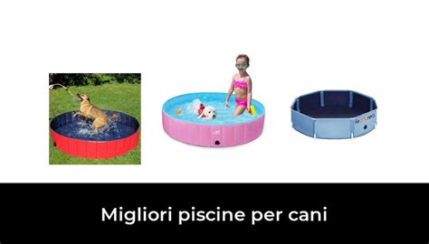 48 Migliori Piscine Per Cani Nel 2024 Secondo 447 Esperti