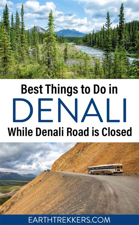 What To Do In Denali While Denali Park Road Is Closed And Is It Worth It