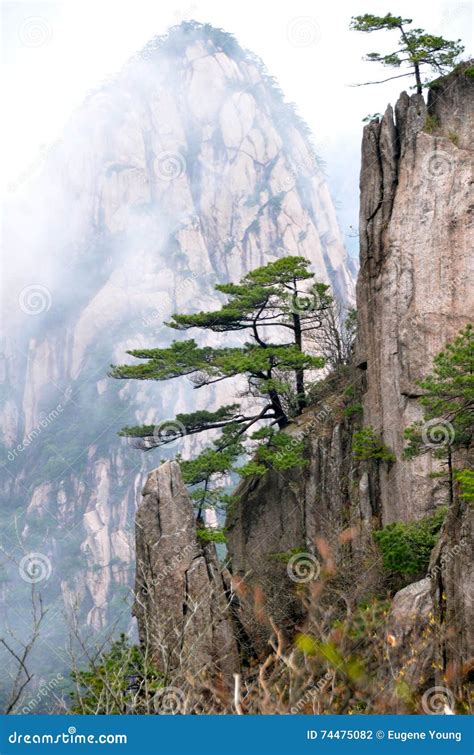 Etapas Da Montanha De Huangshan Foto De Stock Imagem De Antigo