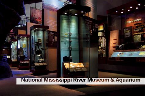 National Mississippi River Museum and Aquarium - The Musaic Design Group