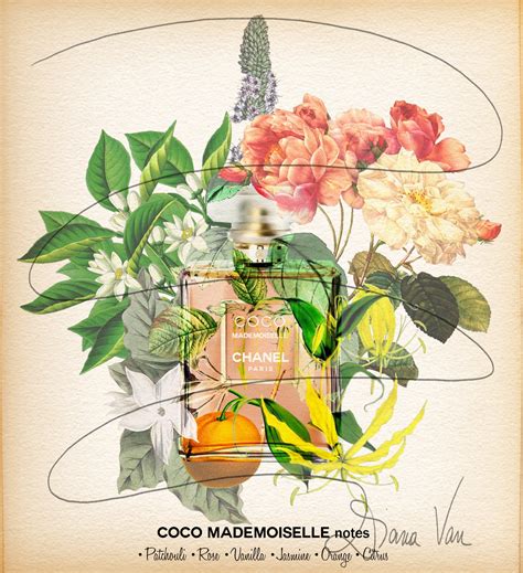 Chanel Coco Mademoiselle Perfume Notes Diana Van Portfolio