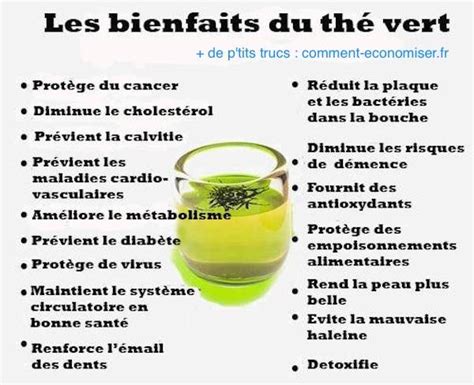 16 Bienfaits Du Thé Vert Que Vous Devriez Connaître