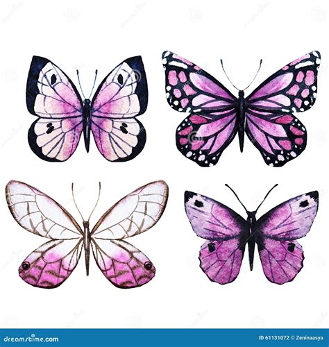 Trama De Las Mariposas De La Acuarela Stock De Ilustraci N