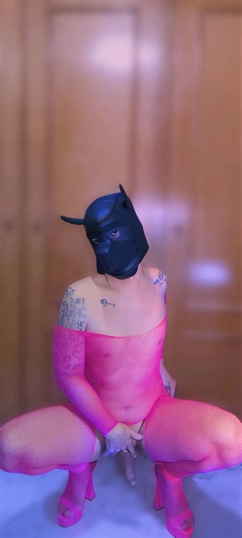 Sissy Lingerie Shemale Porn Pics Nude Trans In Free Sex Photos Xhamster