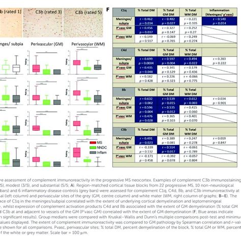 Schematic of the human complement anaphylatoxin receptor structure. A... | Download Scientific ...