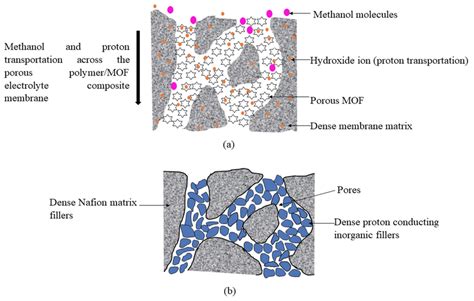 A Schematic Diagram Of Proton And Methanol Conduction Across Porous