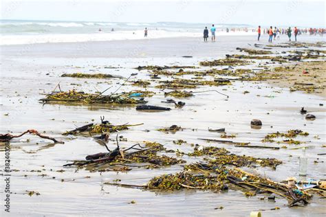 Pollution Of The Beach Rubbish And Domestic Waste Polluting The Beach