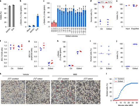 Editing Bcl A Enhancer In Scd Patient Hscs Prevents Sickling A