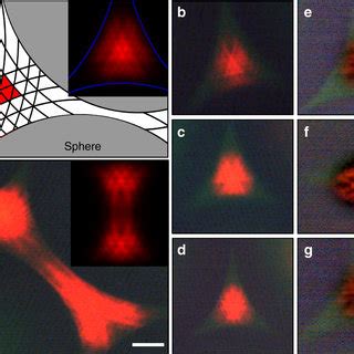 Hybrid Microlaser Resonators A Cross Sectional Diagram Not To Scale