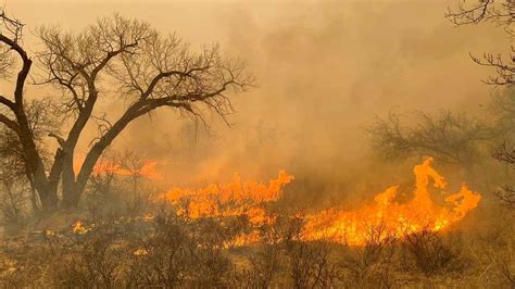 Texas wildfire ravages nearly 900,000 acres in second largest fire in ...