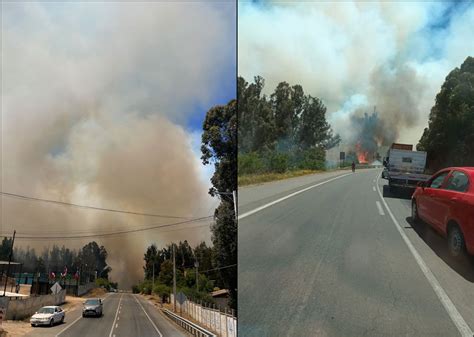 Alerta Roja En Quilpu Incendio Forestal De R Pida Propagaci N Obliga