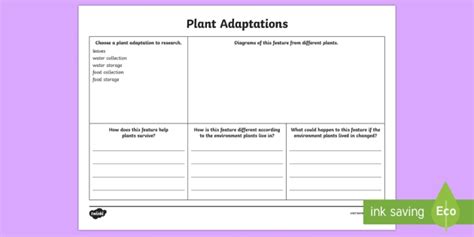 Plant Adaptation Worksheet Rd Grade