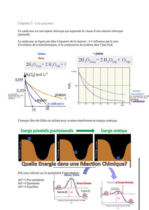 Biochimie Les Enzymes Synth Se Chapitre Les Enzymes Un