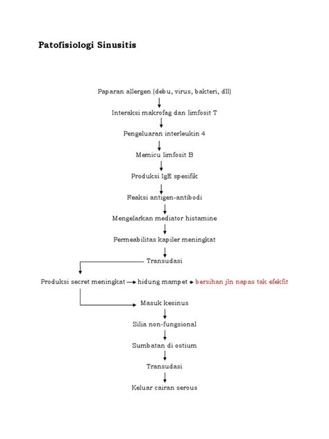 Patofisiologi Sinusitis Pdf