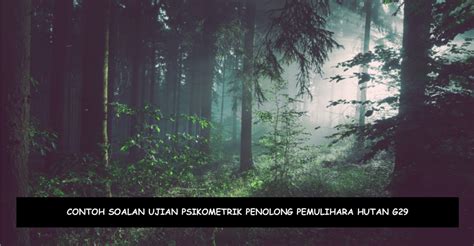 Contoh Soalan Ujian Psikometrik Penolong Pemulihara Hutan G Kerjaya