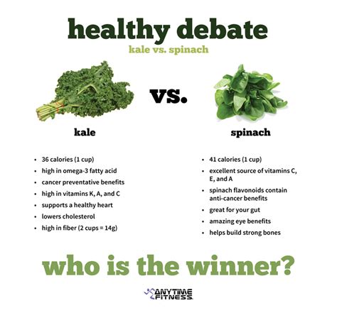 Kale Vs Spinach Which Is Healthier Anytime Fitness