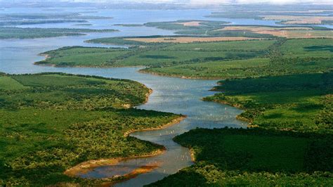 Día Mundial De Los Humedales Los Usos Y Servicios Que Dan A La