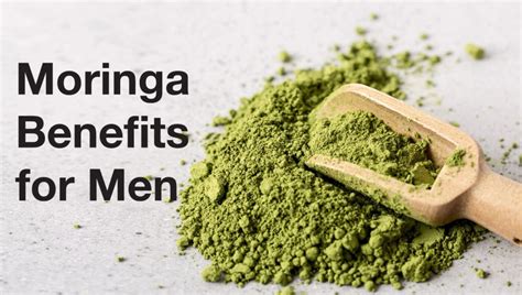 Moringa Benefits For Men Agri Innovation Hub