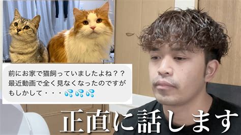 前に飼っていた猫がいない件について。 Youtube