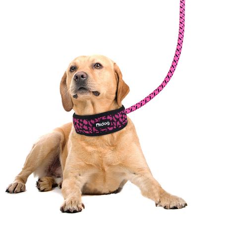 Cm Breit Hundehalsband Mit Leine Gepolstert Reflektierend Halsb Nder