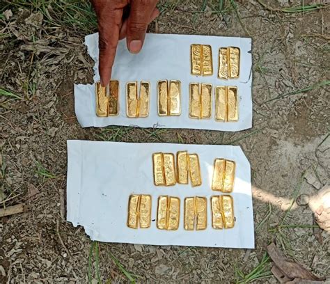 BSF Nabs Smuggler With 14 Gold Biscuits On Indo Bangla Border In