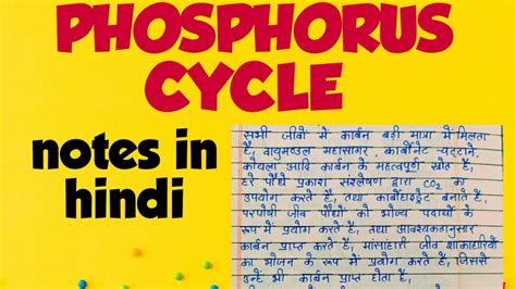 Phosphorus Cycle In Hindi YouTube