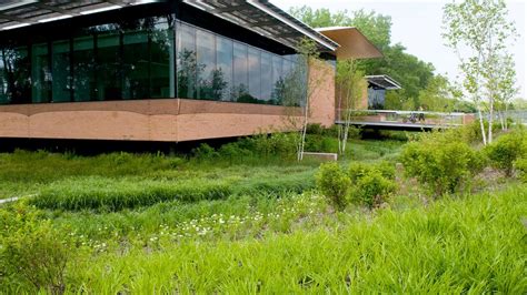 Rain Gardens Chicago Botanic Garden