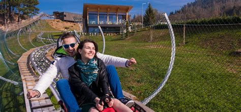 suecia 2022 pareja conduciendo en una montaña rusa alpina 11819006