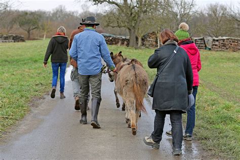 Eselwandern am Fuße der Schwäbischen Alb Schwillehof in Pfullingen