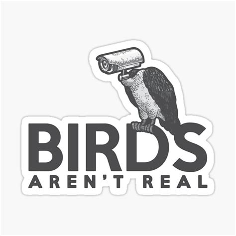 Birds Aren T Cctv Real Gift Sticker For Sale By Ttfmerch Redbubble