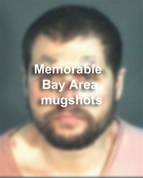 Bay County Mugshots Company Landing