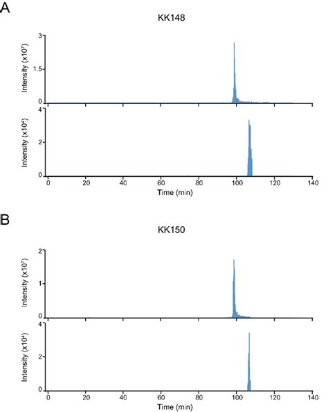 Figure Supplement 1 Extracted Ion Chromatograms Of Labeled And Download Scientific Diagram