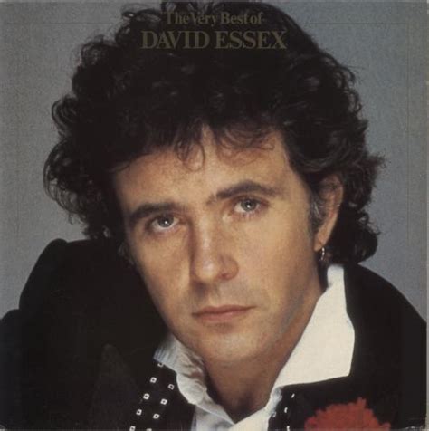 David Essex The Very Best Of David Essex Uk Vinyl Lp Album Lp Record 530383