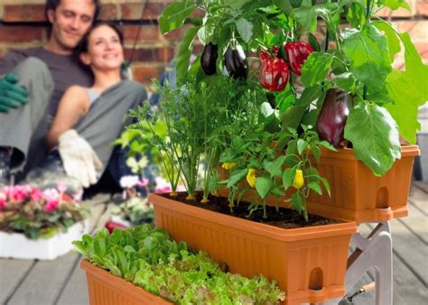 Vasi E Contenitori Per L Orto In Terrazzo O Balcone Quali Scegliere E