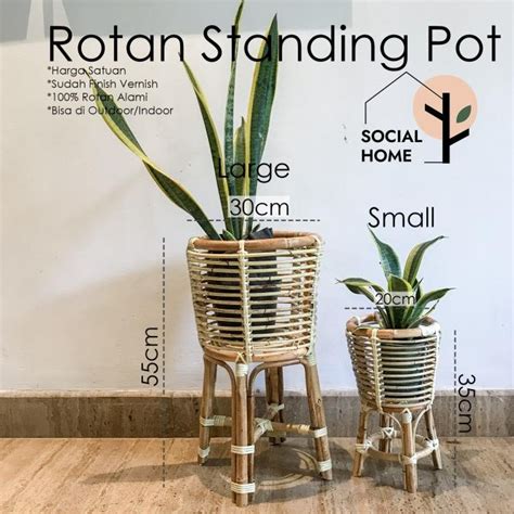 Jual Standing Pot Bunga Tanaman Hias Rotan Asli L Shopee Indonesia